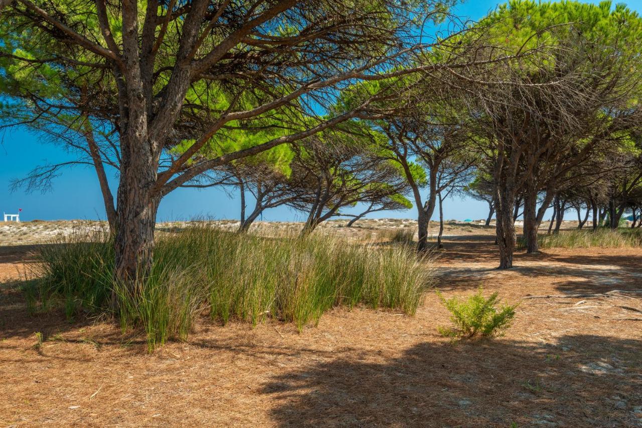 Le Dimore Di Budoni Bagian luar foto