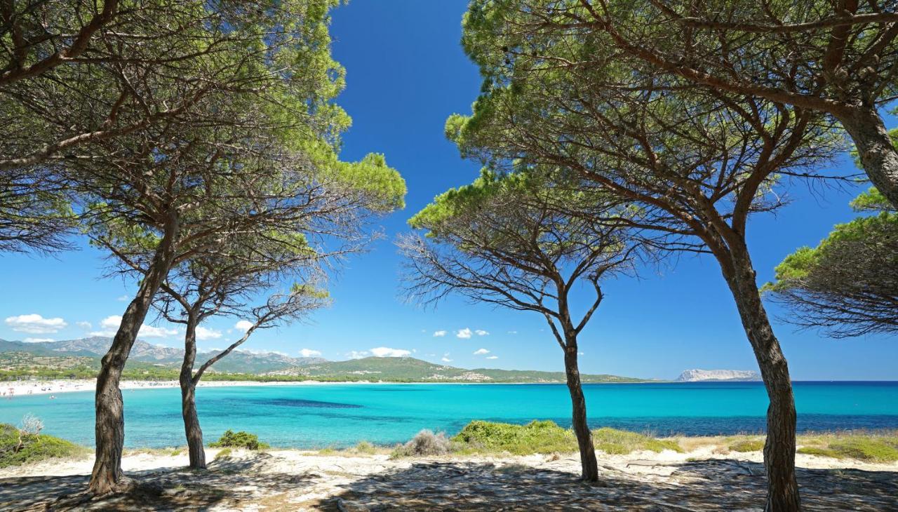 Le Dimore Di Budoni Bagian luar foto